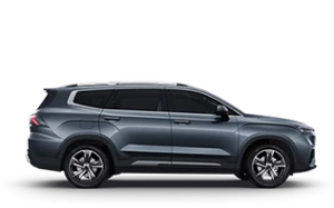 Okavango New 2.0T AMT Luxury